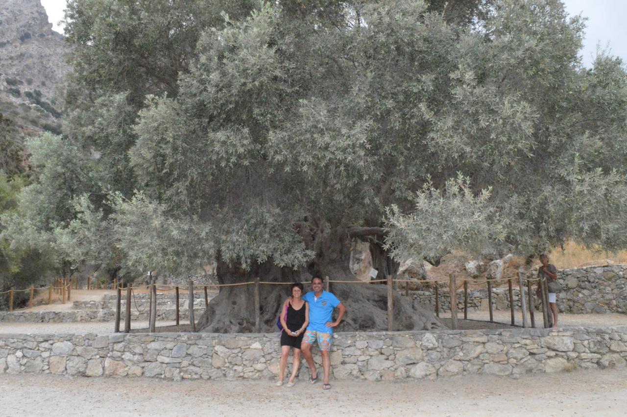 Tholos Rooms Kavoúsion Dış mekan fotoğraf