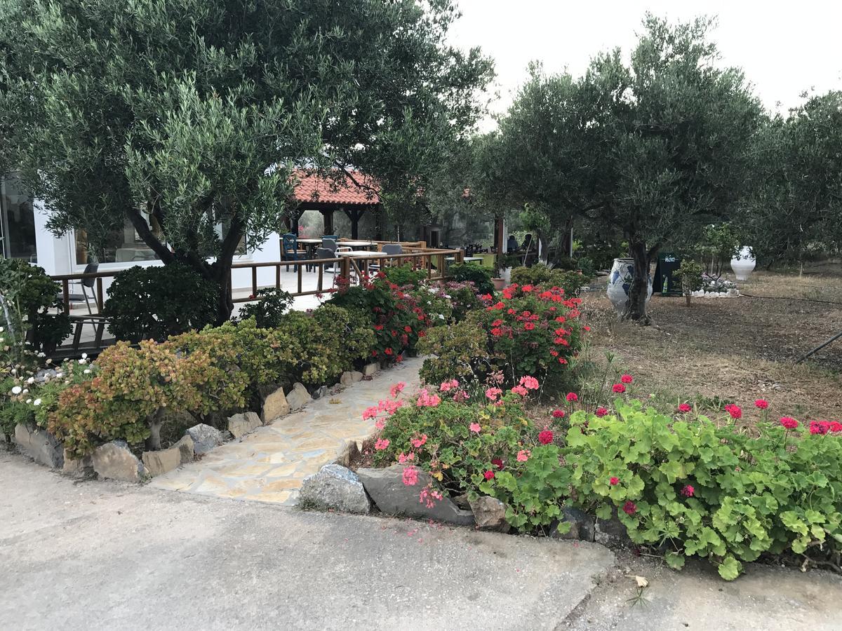 Tholos Rooms Kavoúsion Dış mekan fotoğraf